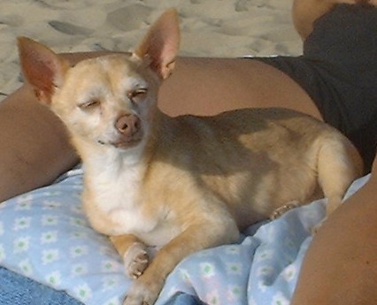 Those are my Mommy's Legs