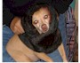 That Touch of Mink!