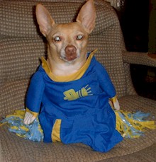 Why oh why do they dress me like this?