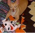 Sock Puppet and Blondie