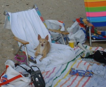 Relaxing in the Sun...