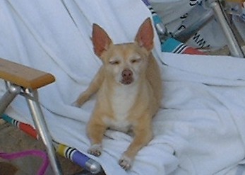 This is the life ...