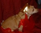 Halloween 04, Jeanie III