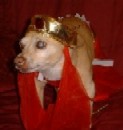 Halloween 04, I Dream of Jeanie II