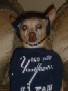 Halloween 05, #1 Yankee Fan