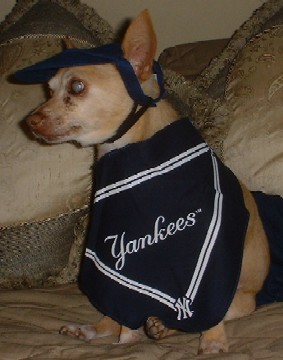 You Can't See the NY on my Baseball Cap, 'cause I'm givin' you a profile