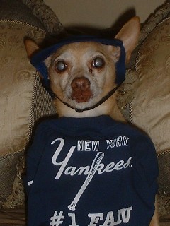 You Still Can't See the NY on my cap... but I'm a #1 Fan