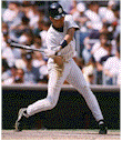 Click Here for the Official Yankees Website!